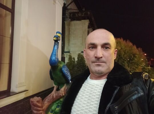  ,   , 46 ,   ,   