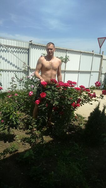  ,   Maks, 42 ,   ,   