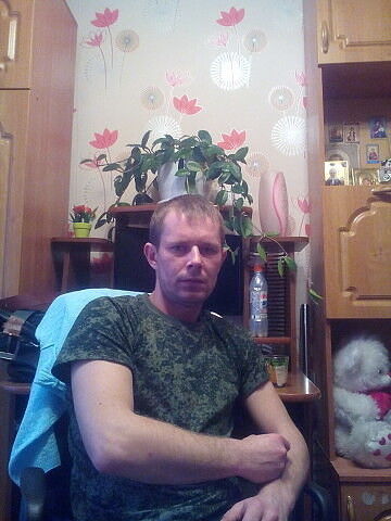  ,   , 41 ,   