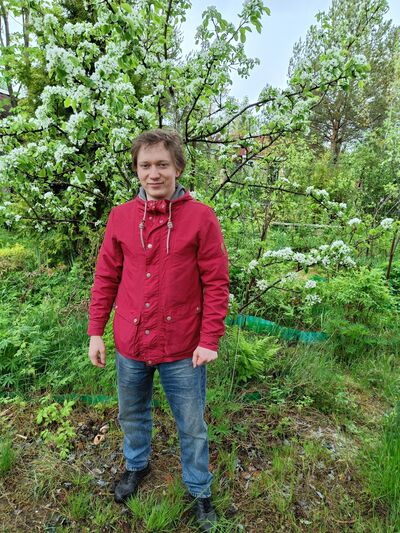  -,   Dmitry, 31 ,     , c 