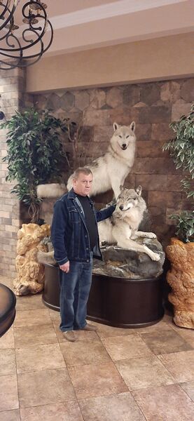  ,   , 62 ,   ,   , c 