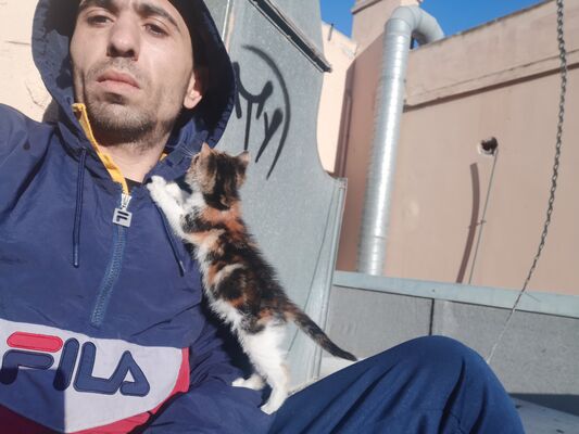  Limassol,   Dio, 37 ,   ,   