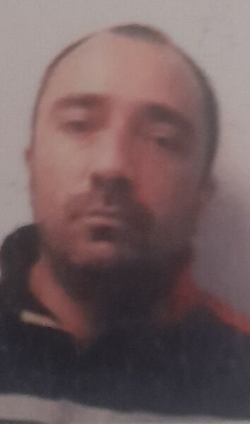  ,   , 41 ,   