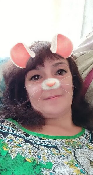  ,   , 41 ,  