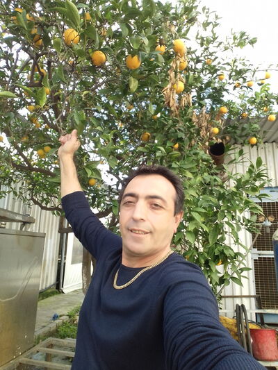  Nicosia,   Feodor, 59 ,   ,   , c 