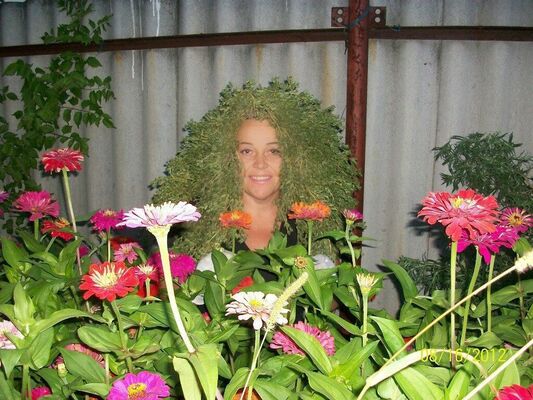  ,   EVA, 59 ,   ,   , c 