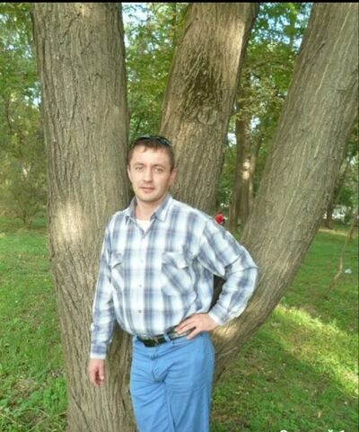  Gavle,   Zorro, 40 ,   ,   