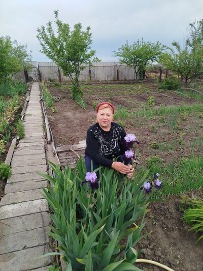  ,   , 67 ,   c , 