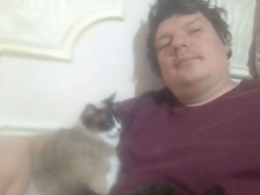  ,   , 38 ,   c , 