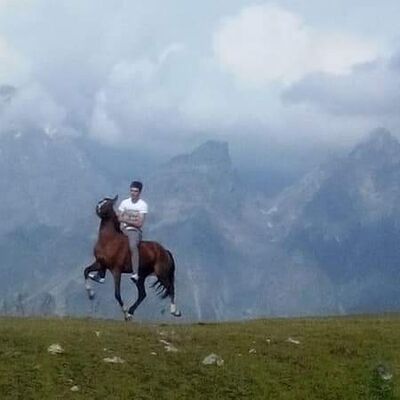  ,   Levan, 34 ,   ,   , c 