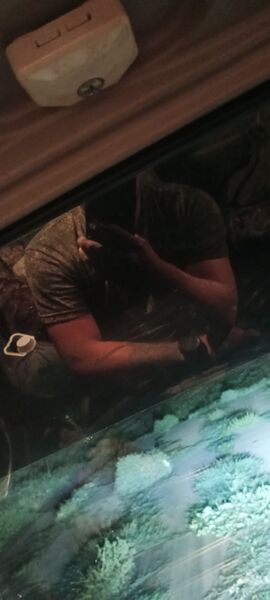  ,   , 32 ,   ,   , c , 