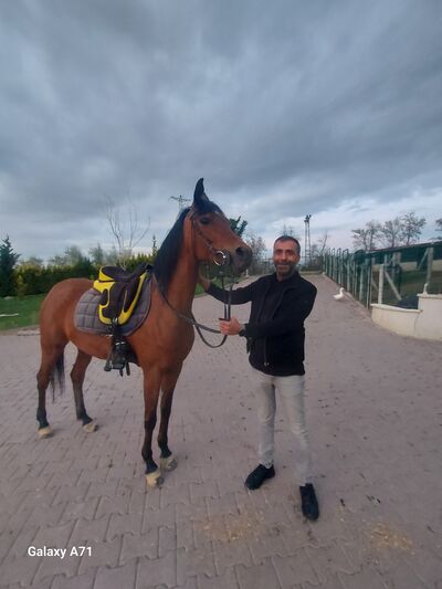  ,   Talip, 42 ,   ,   