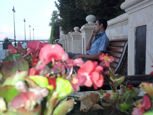  ,   MAQA, 36 ,   