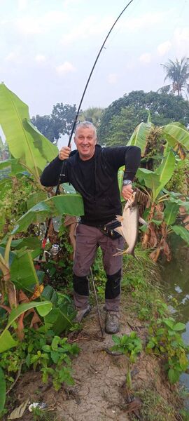  Comilla,   , 49 ,   ,   , c , 