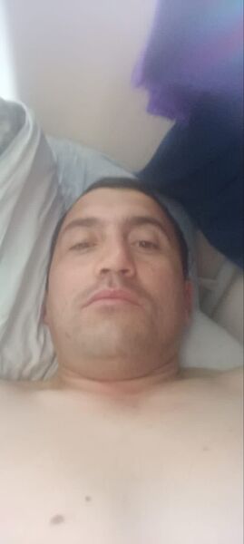  ,   Babayan turk, 45 ,   ,   , c , 