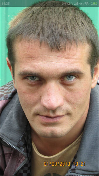  ,   Vitalik, 41 ,     , c 