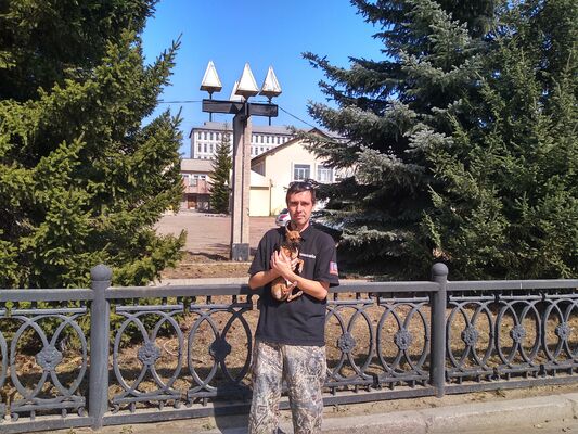  ,   , 44 ,   ,   , c 