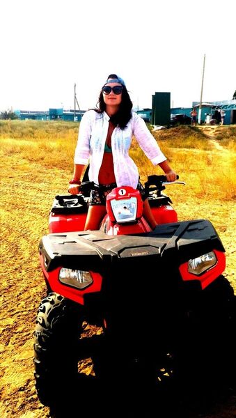  ,   Golubajacrov, 33 ,   