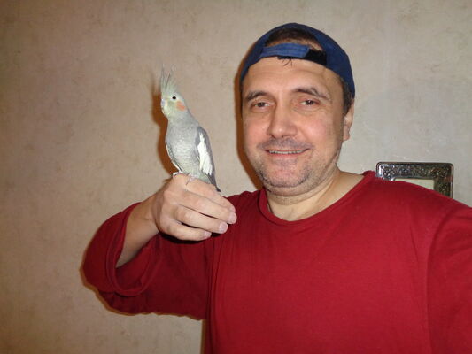  ,   , 52 ,   ,   , c 