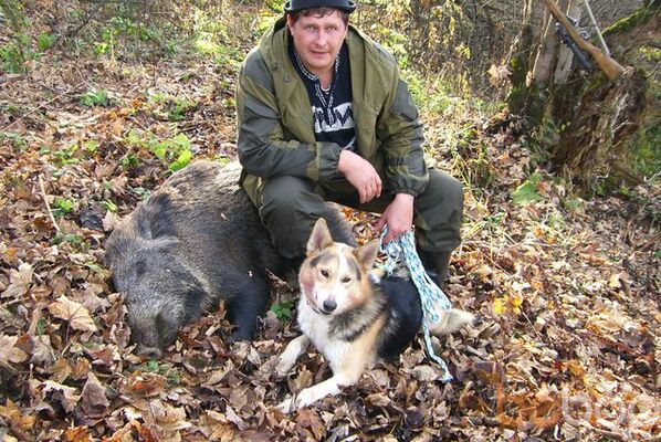  ,   Ochotnik, 51 ,  