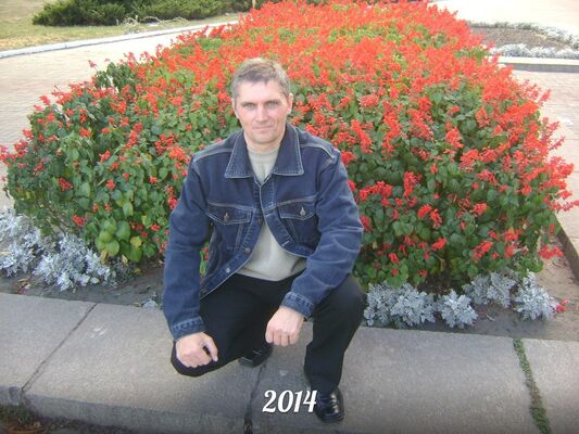  ,   , 55 ,   