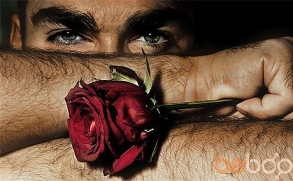  ,   Ice, 55 ,   
