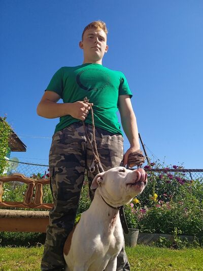  ,   , 19 ,   ,   