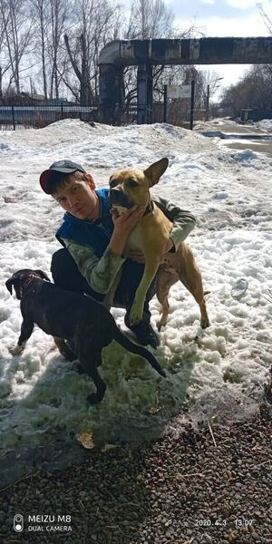  ,   Serega, 34 ,   ,   