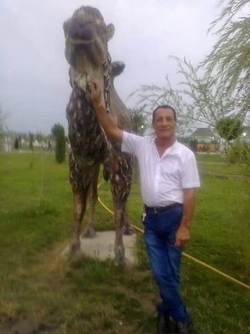 ���������� ����, ���� ������� ������, 54 ����, ������������ ��� ������, ����� � ���������, c�������� ���������