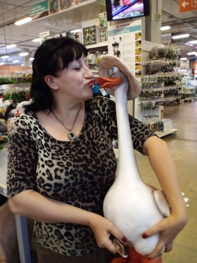  --,   , 55 ,  