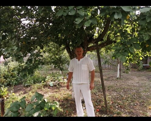  ,   , 46 ,     , c 