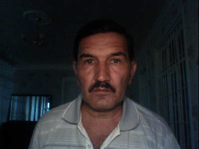  ,   Elman, 65 ,   