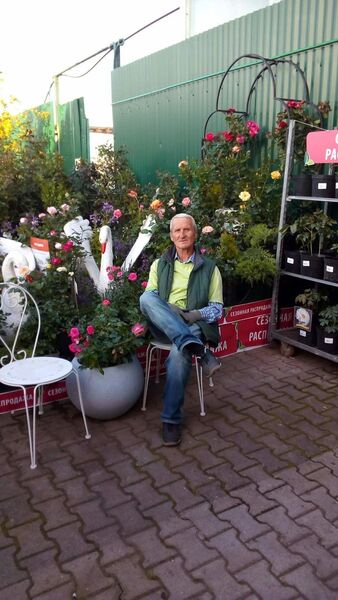  ,   , 56 ,   ,   , c , 