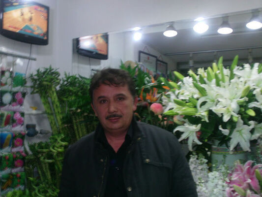  ,   , 53 ,  