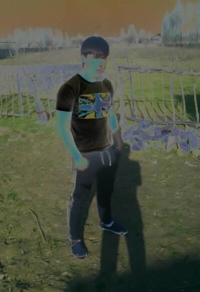  't Veld,   , 33 ,   