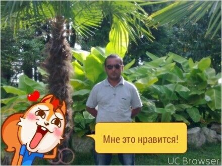  10689860  , 51 ,    