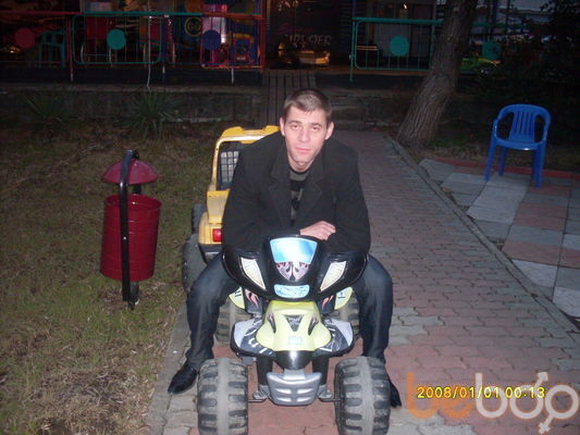  ,   Slavic, 41 ,   