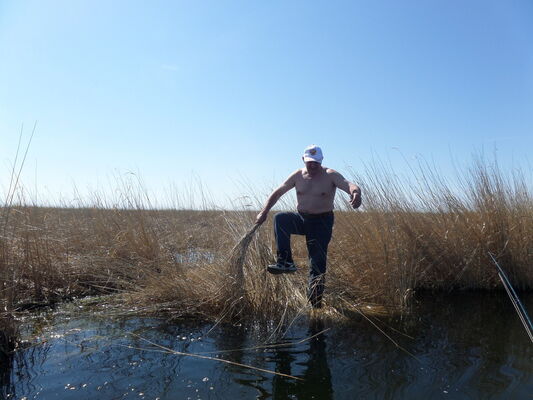  ,   , 61 ,   ,   , c , 