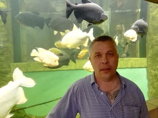  ,   Sergey, 57 ,     , c , 