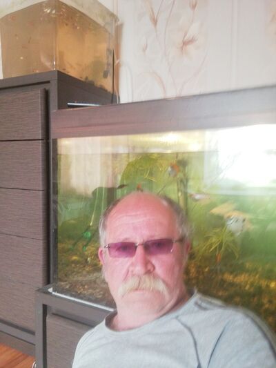  ,   , 65 ,  