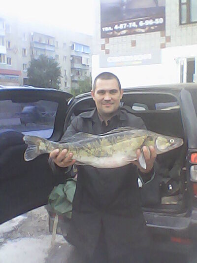  ,   , 48 ,   ,   , c , 