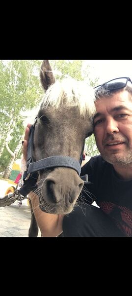 ,   , 51 ,   c 