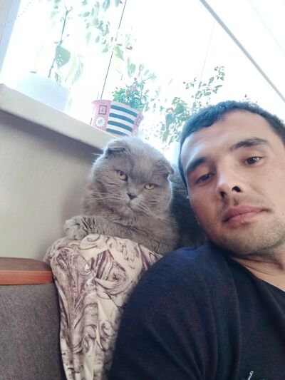  ,   , 35 ,   ,   