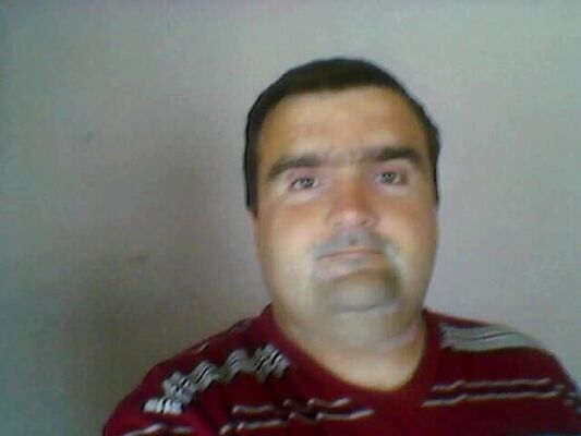  ,   , 43 ,  