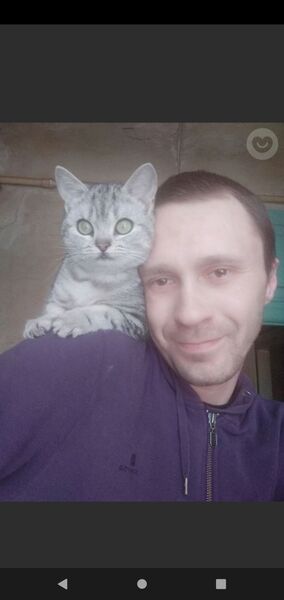  ,   , 41 ,   ,   