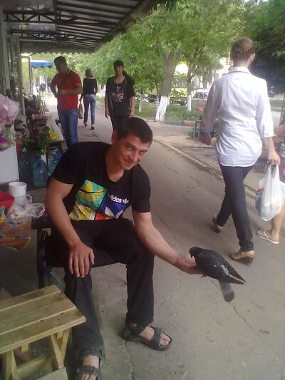  ,   , 41 ,   ,   , c 