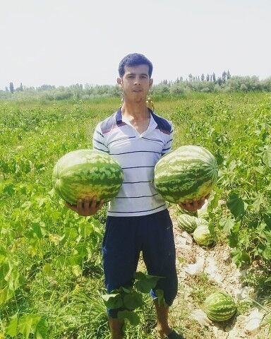  ,   Isroiljon, 29 ,   ,   , c 