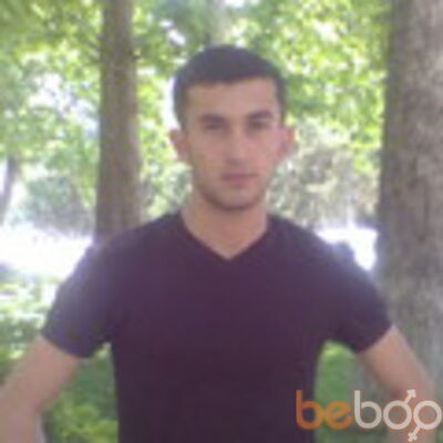  ,   Krasavcik, 37 ,   ,   , c 