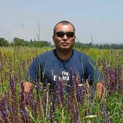  ,   Den, 42 ,   