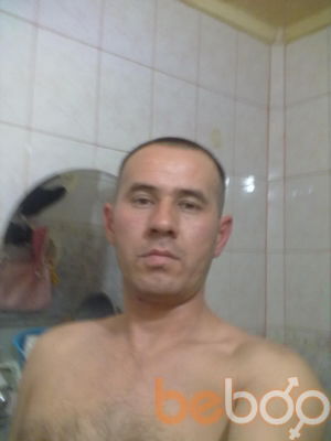  2397530  , 43 ,    